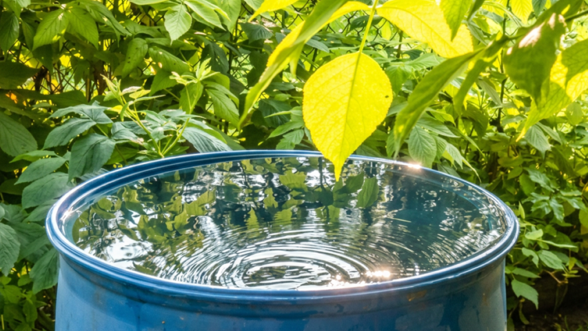 Rainwater harvesting to strengthen water resilience in Moldova 