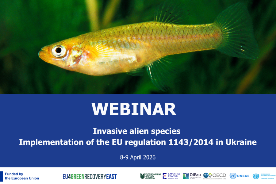 Webinar on Invasive Alien Species (IAS) and the implementation of the EU regulation 1143/2014 in Ukraine