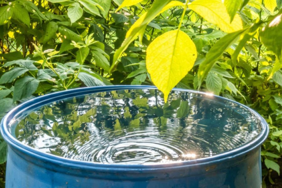 Rainwater harvesting to strengthen water resilience in Moldova 