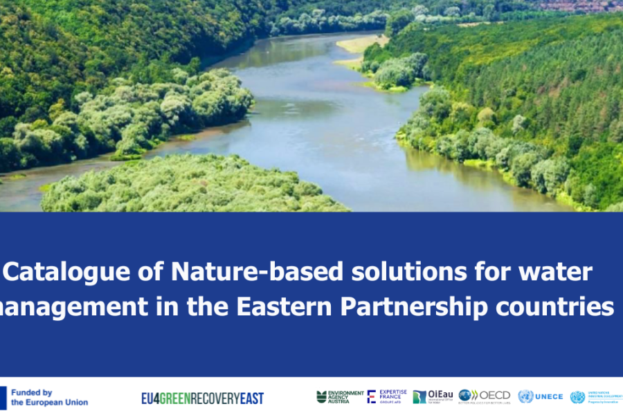 Catalogue of Nature-based solutions for water management in the Eastern Partnership countries